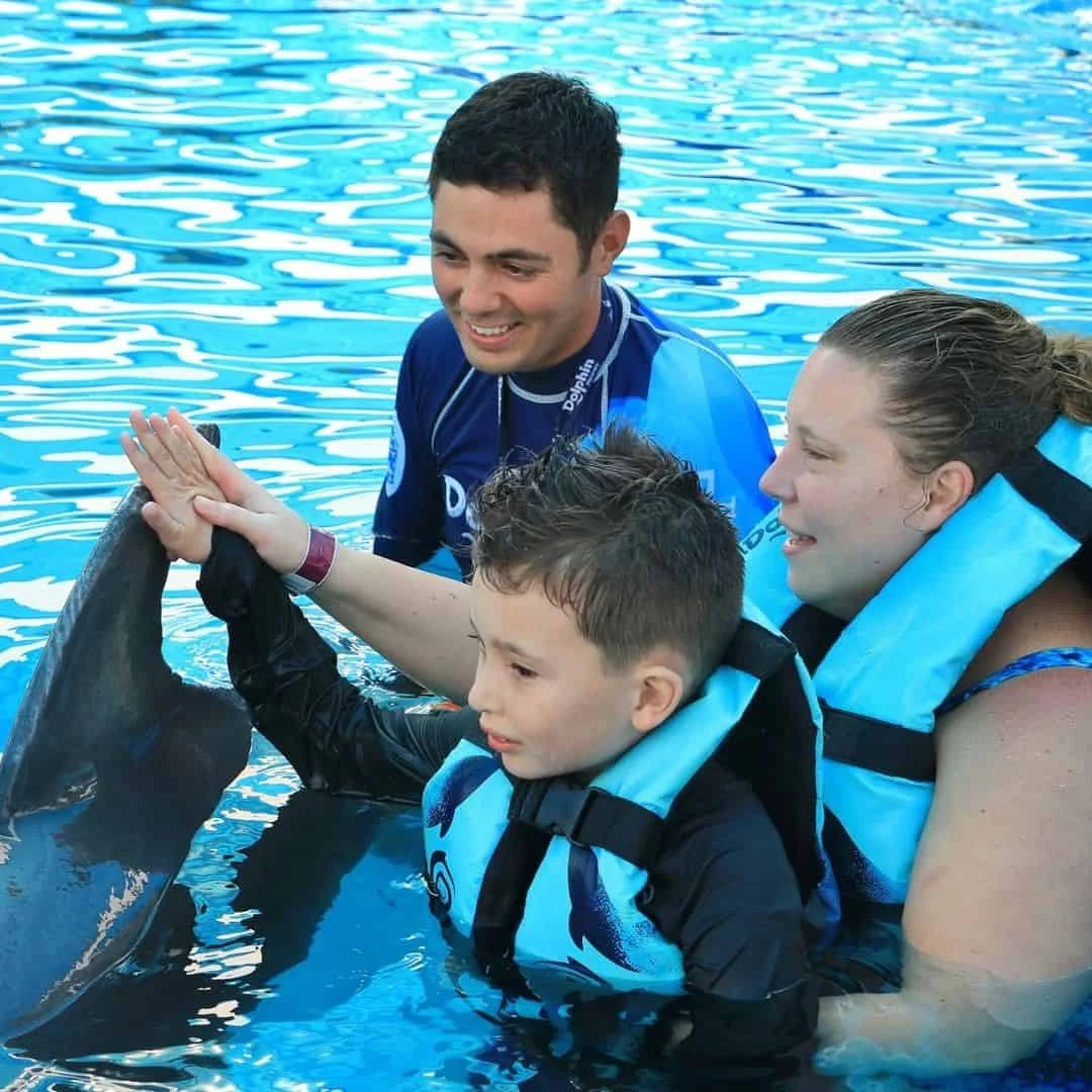 Excursión Dolphin Explorer